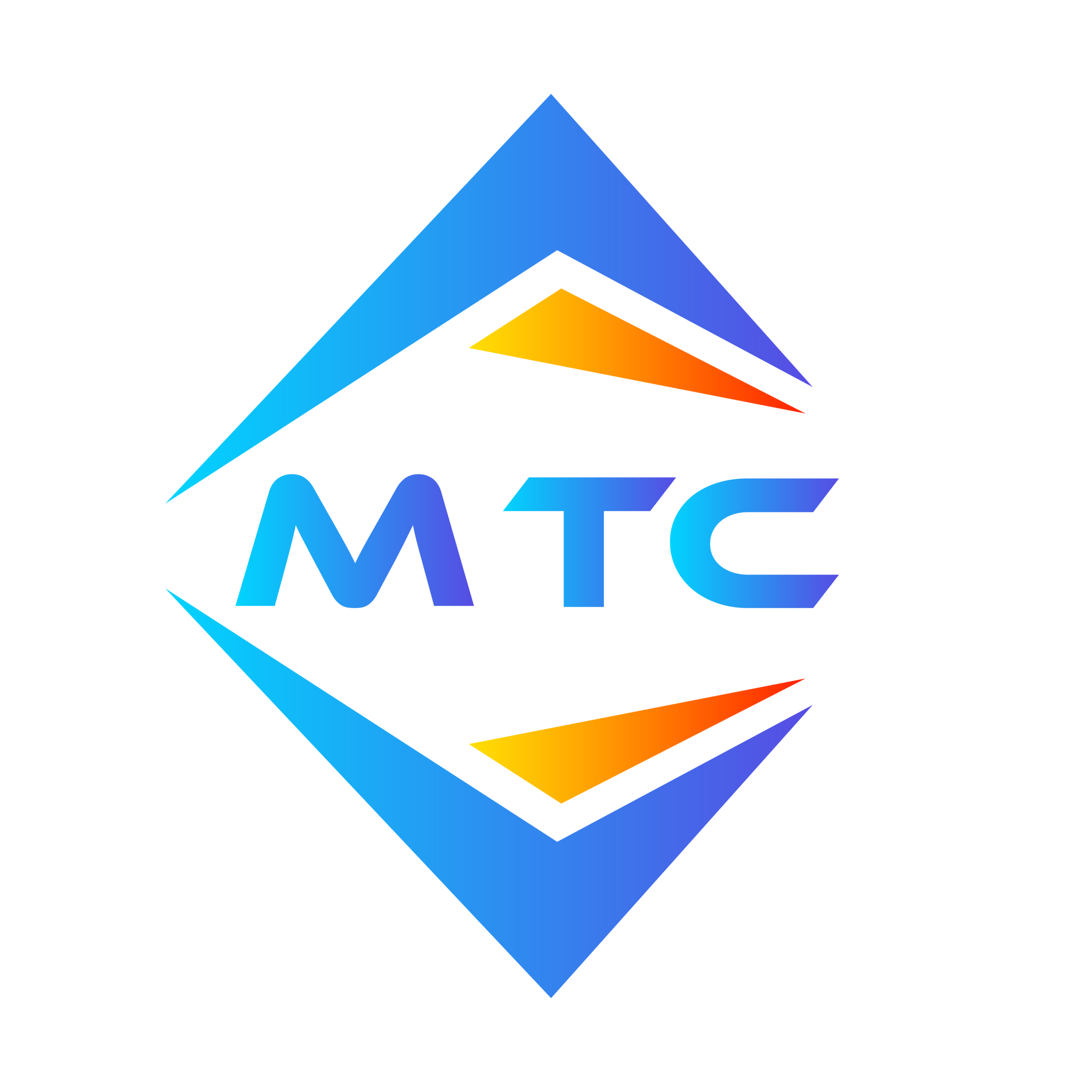 Monty Tyler Capital LLC